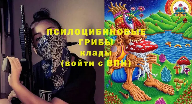 Псилоцибиновые грибы Psilocybe  Кадников 